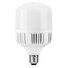 Лампа светодиодная 30W 230V 6400K, E27-E40 T80 LB-65