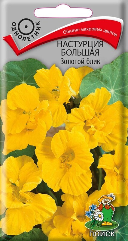 Цветы Настурция Золотой блик большая 1г (Поиск)