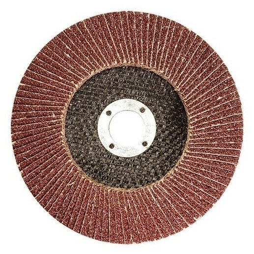 Круг TOOLBERG лепестковый торцевой 125*22, Р100 (алюминий)/10
