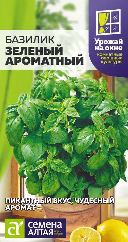 Базилик Зеленый Ароматный 0,2г (Сем.Алтая)